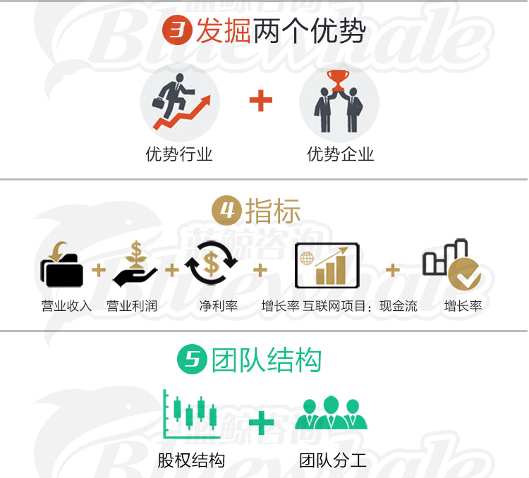 【创业项目融资计划书】