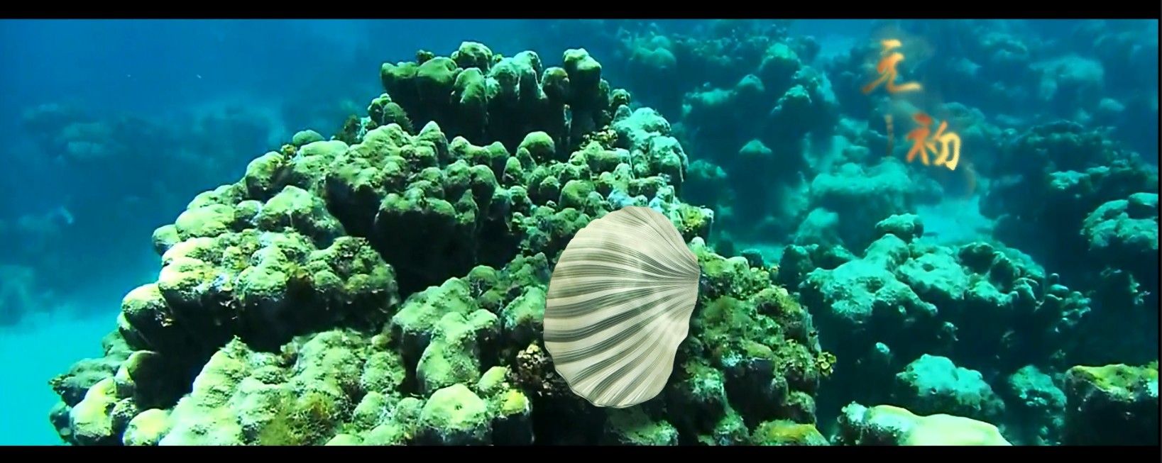 机械制造产品流程教育汇报招标众筹展会锅炉净