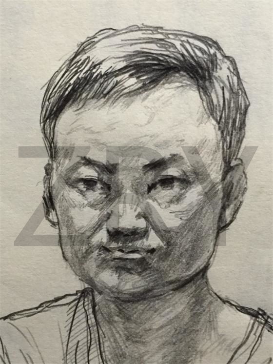 写实风格线描速写或素描(小头像)-【zanderroy】-猪