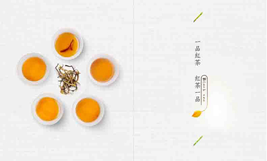 專業(yè)設計海報畫冊淘寶電商詳情頁寶貝頁面寶貝詳情平面設計