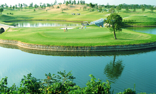 优秀建站推广案例(网站推广方案策划案例)