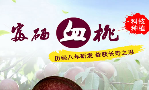 **設(shè)計(jì)案例——富硒血桃設(shè)計(jì)