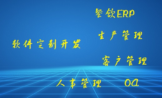 广州进销存软件ERP/企业管理软件定制/餐饮商场进销存系统
