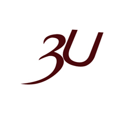 3U