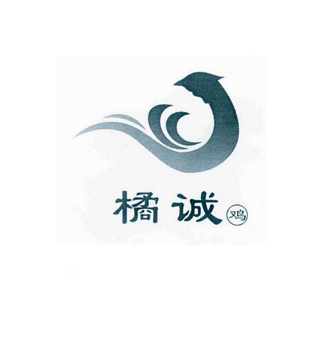 橘诚鸡