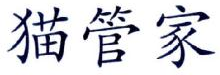 猫管家