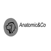 ANATOMICCO