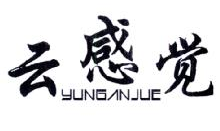 云感觉,YUNGANJUE