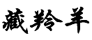 藏羚羊