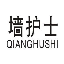 墙护士,QIANGHUSHI