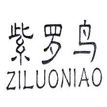 紫罗鸟,ZILUONIAO