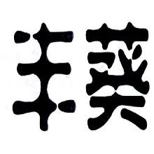 丰葵