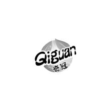 奇冠,QIGUAN