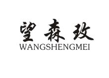 望森玫,WANGSENMEI