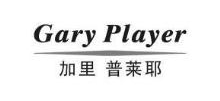 加里普莱耶,garyplayer