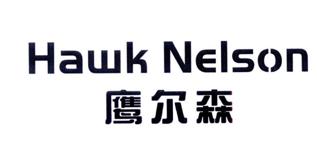 鹰尔森,hawk nelson