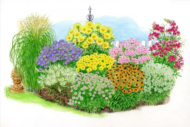 花境设计/植物设计/植物种植施工图设计/庭院植物种植设计/园-猪八戒