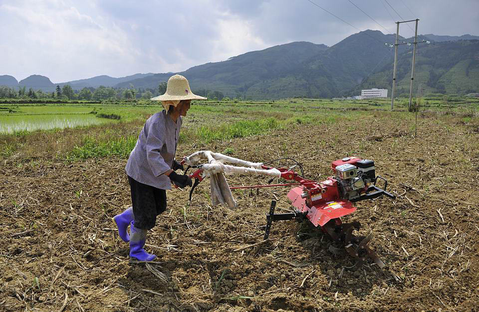 图片制作成视频