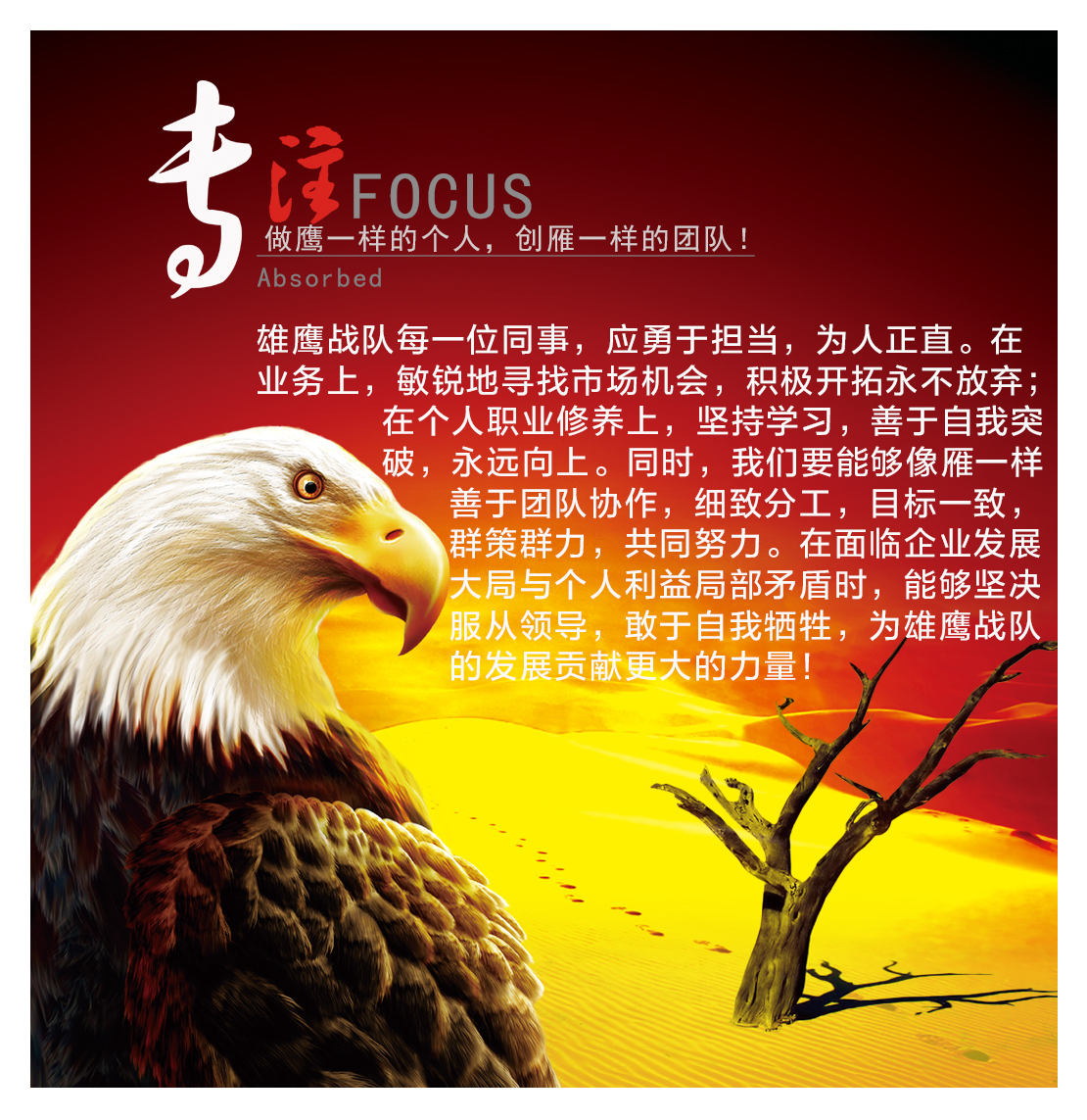 宣传品设计案例_企业文化