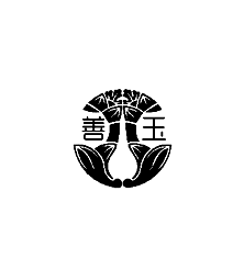 善玉