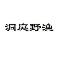 洞庭野渔