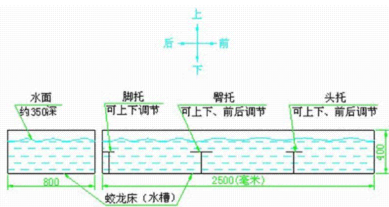 用于教授水面仰卧静浮技术的水中床
