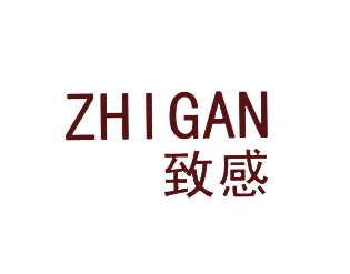 致感,ZHIGAN