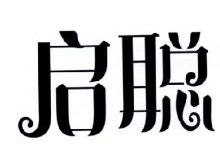启聪