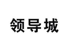 领导城