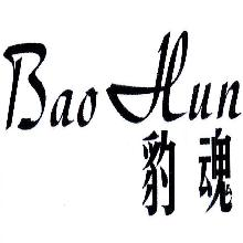 豹魂,BAOHUN