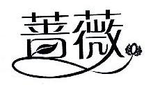 蔷薇
