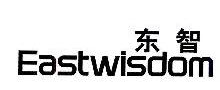 东智,EASTWLSDOM