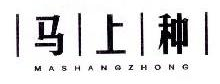 马上种,MASHANGZHONG
