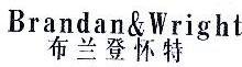 布兰登怀特,BRANDAN WRIGHT
