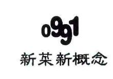 新菜新概念,0991