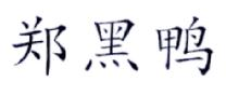 郑黑鸭