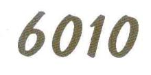 6010
