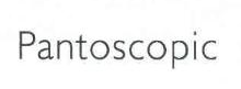 PANTOSCOPIC