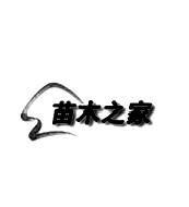 苗木之家