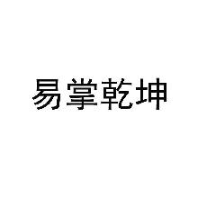 易掌乾坤