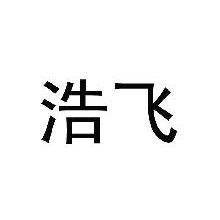 浩飞