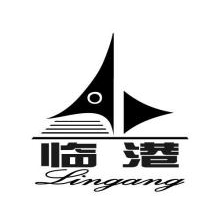 临港,LINGANG