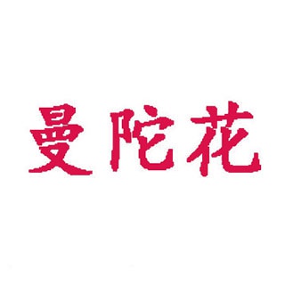 曼陀花