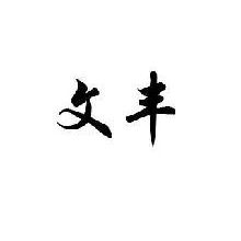文丰