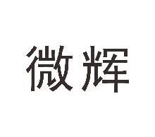 微辉