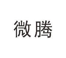 微腾